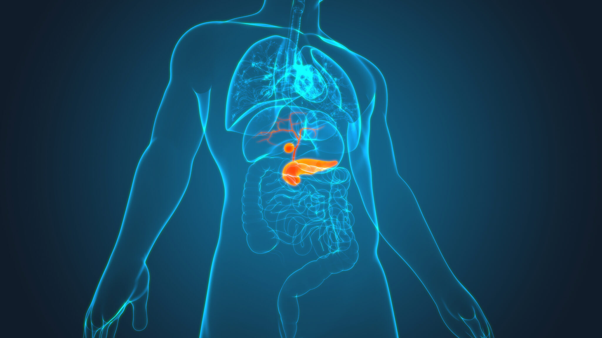 4 Tips For Improving Your Digestion of Dietary Fats GPlans Blog